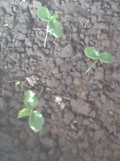 27-08-09_1017.jpg