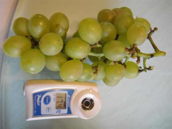 DSC00232 (����).JPG