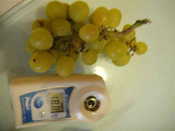 DSC00235 (����).JPG