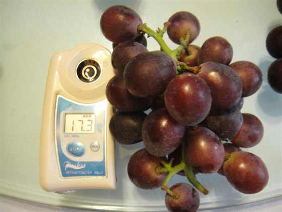 DSC00237 (����).JPG