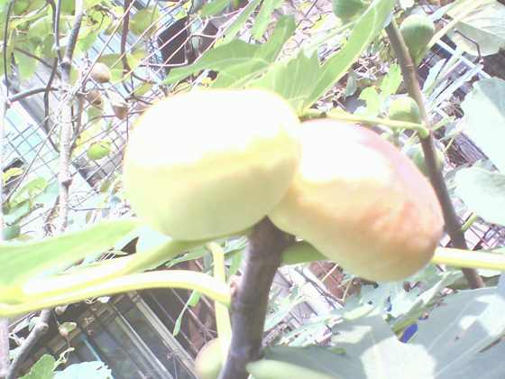 0826085101.jpg
