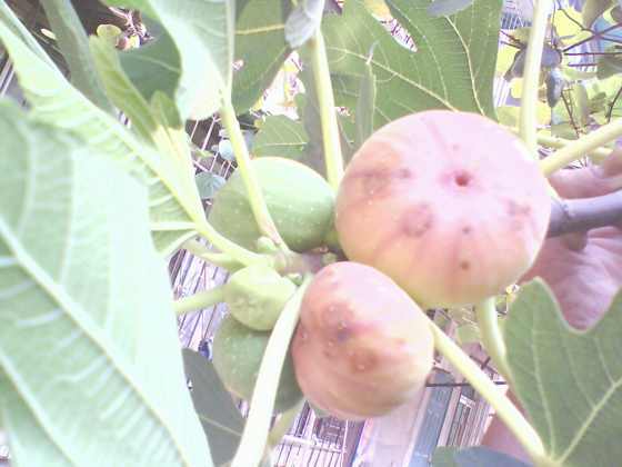 0826085301.jpg