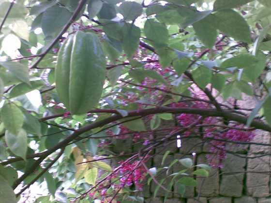 20090912_006.jpg