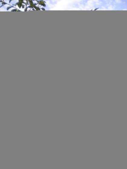 DSCN1505.JPG