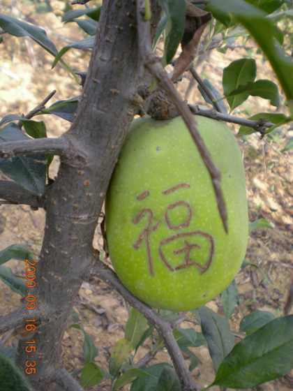 DSCN1655.JPG