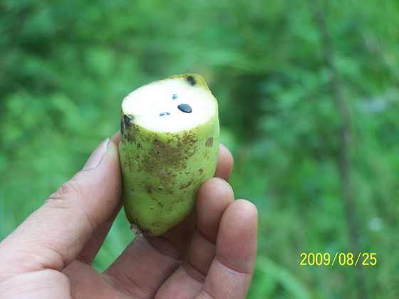 100_4652.JPG