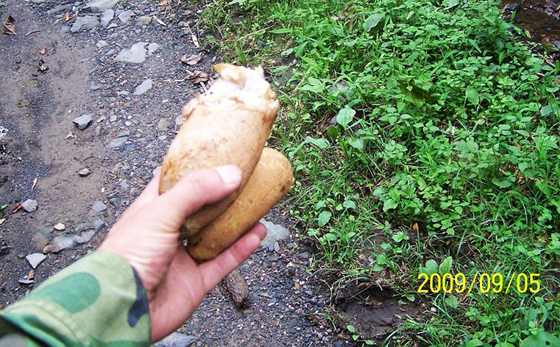 100_5170.JPG