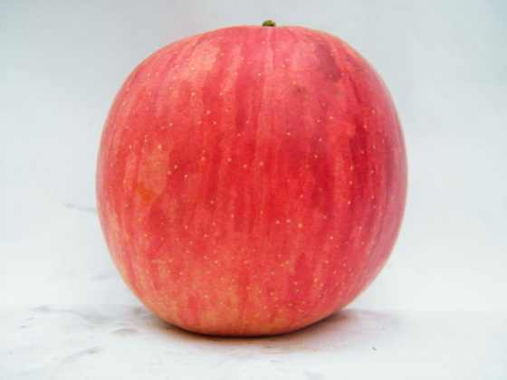 DSCF2318.JPG