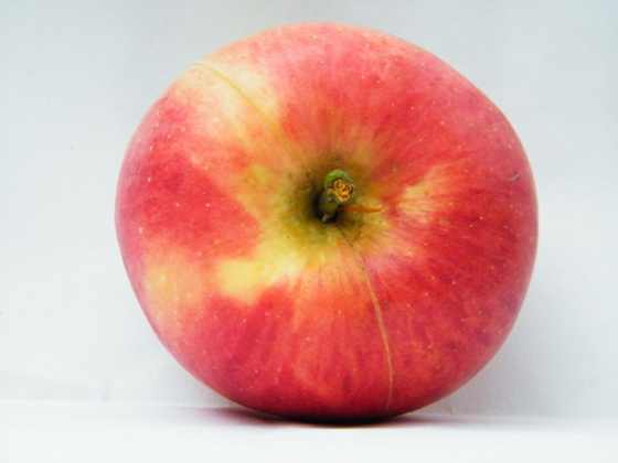 DSCF2290.JPG
