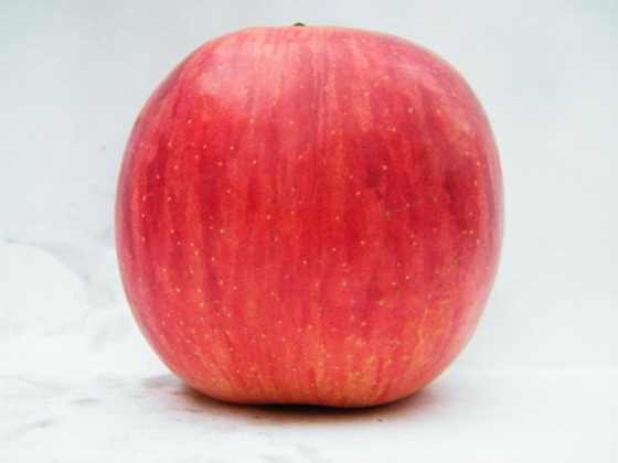 DSCF2314.JPG