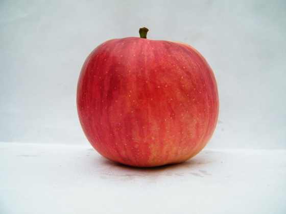 DSCF2310.JPG