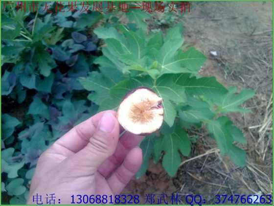 20090905811.jpg