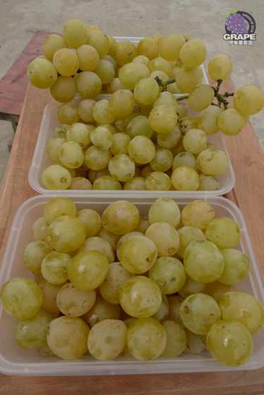 ������ 14.jpg