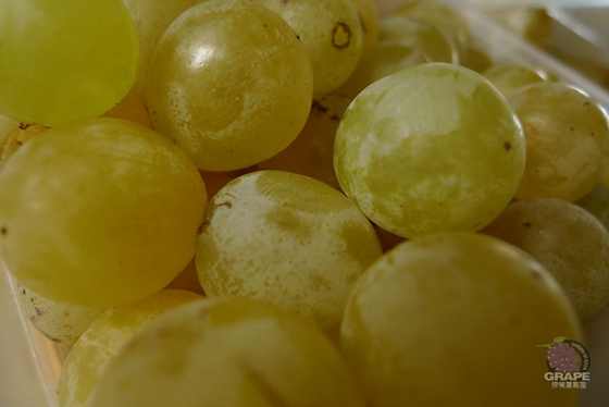 ������ 13.jpg