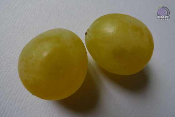 ������ 15.jpg