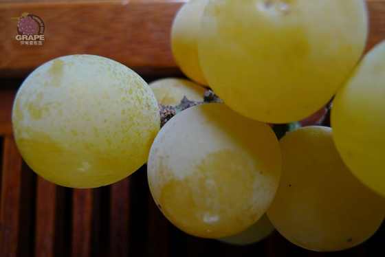 ������ 3.jpg