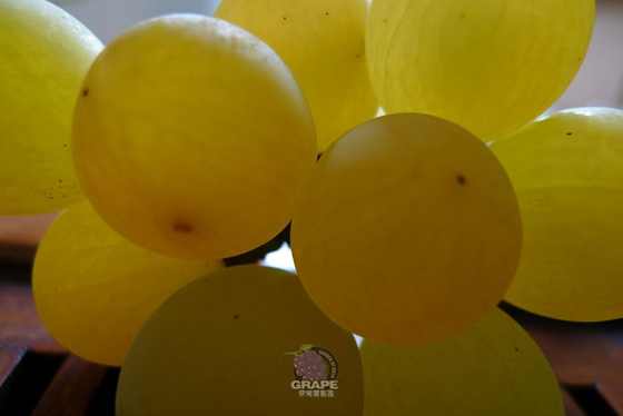 ������ 2.jpg