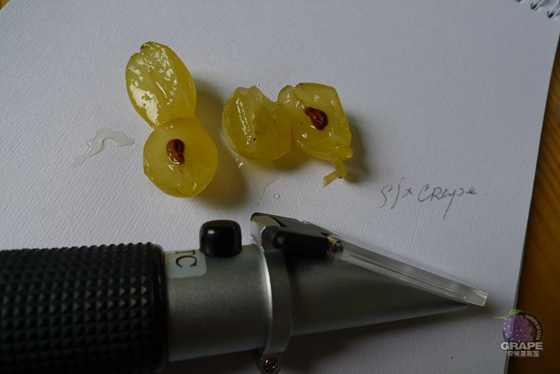 ������ 20.jpg