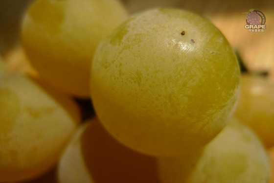 ������ 7.jpg