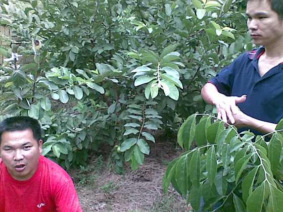 20070128_010.jpg