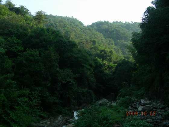 DSCN0646.JPG