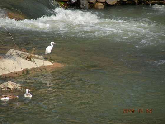 DSCN0667.JPG