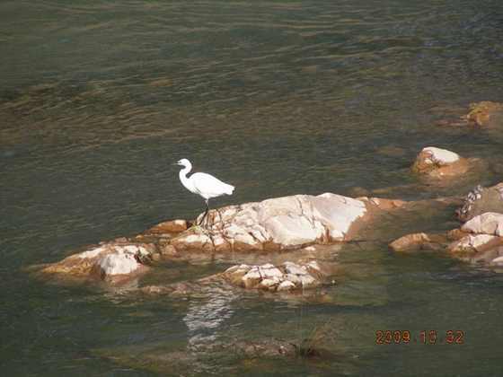 DSCN0665.JPG
