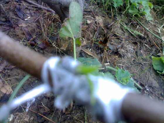 200910082154.jpg