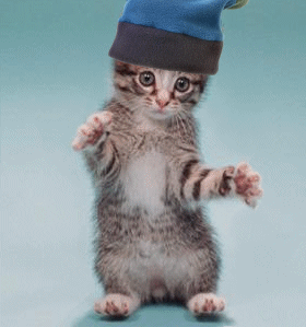 68.gif
