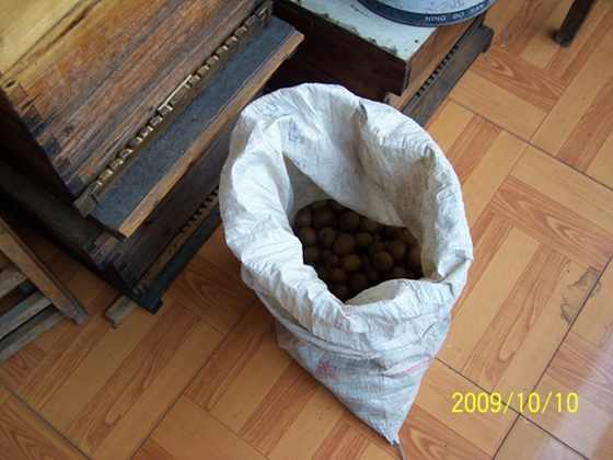 100_7270a.JPG