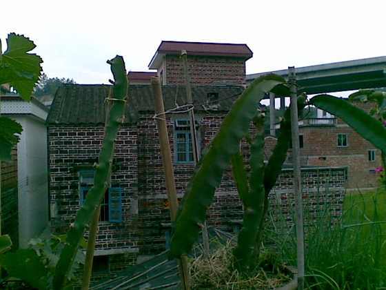 ��Ƭ 072.jpg