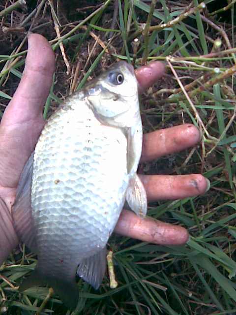 img027.jpg