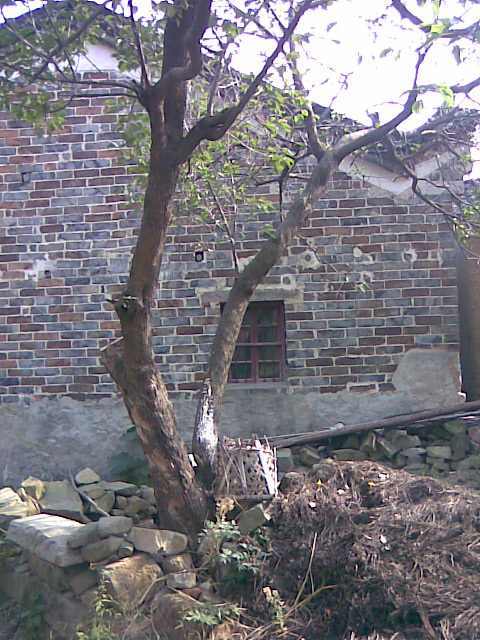 img000.jpg