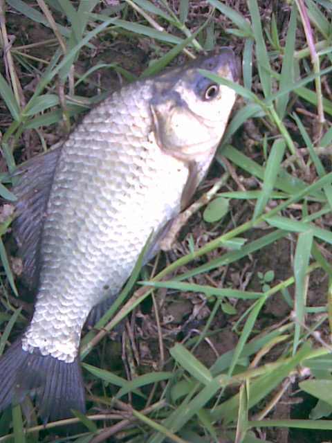 img026.jpg