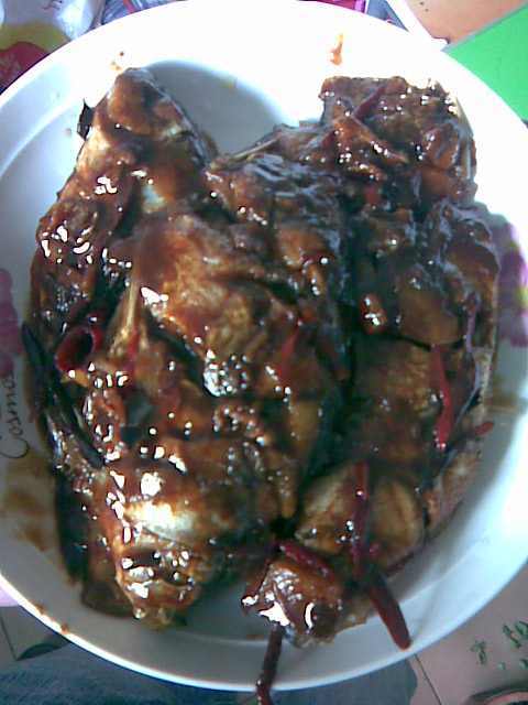 img028.jpg