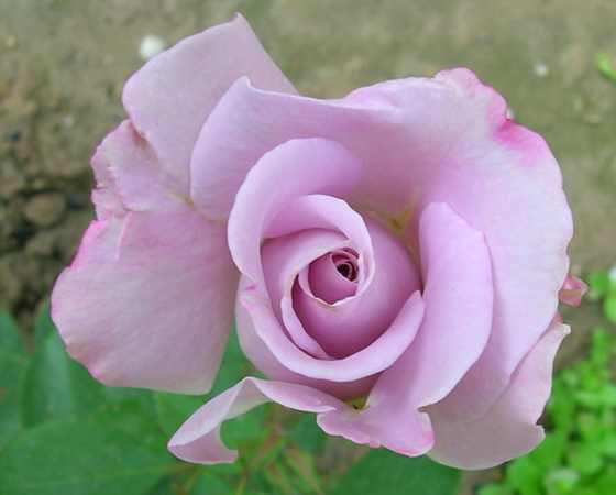DSCN2914.JPG