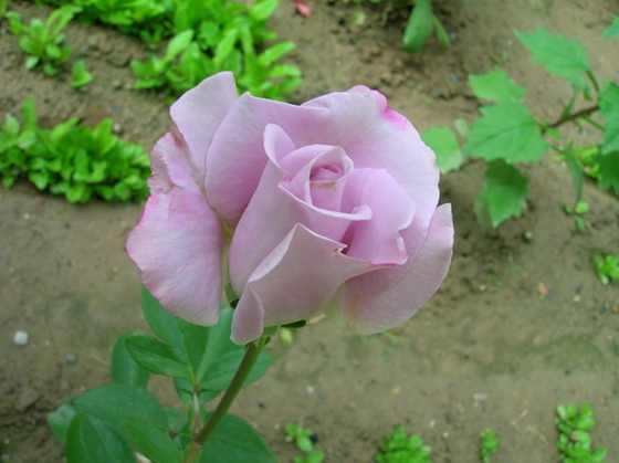 DSCN2915.JPG