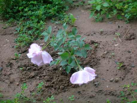 DSCN2469.JPG