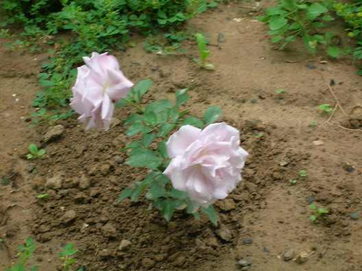 DSCN2461.JPG