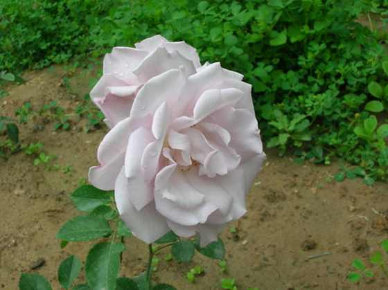 DSCN2458.JPG