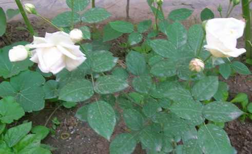 DSCN2800.JPG