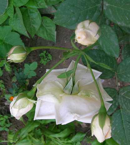 DSCN2804.JPG