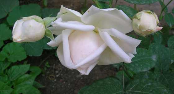 DSCN2802.JPG