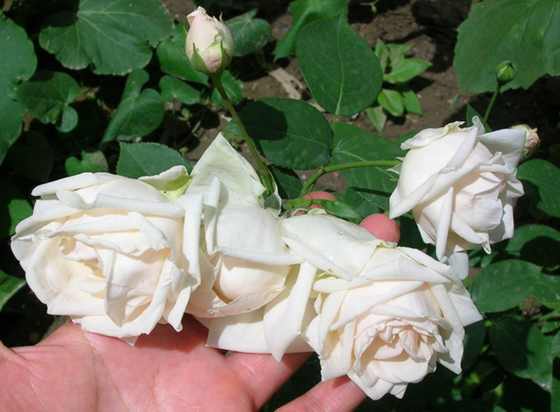 DSCN2840.JPG