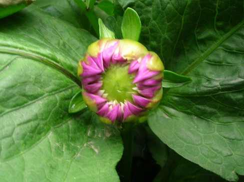 DSCN2726.JPG