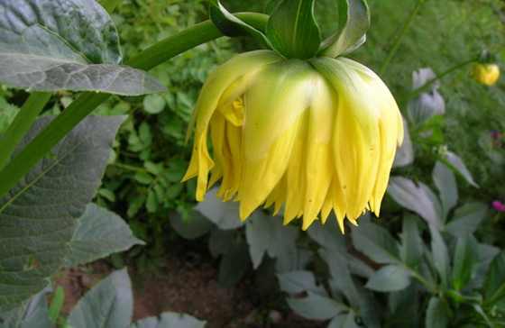 DSCN2813.JPG