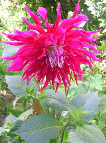 DSCN2818.JPG