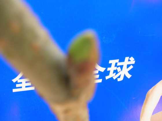 DSCN3142.JPG
