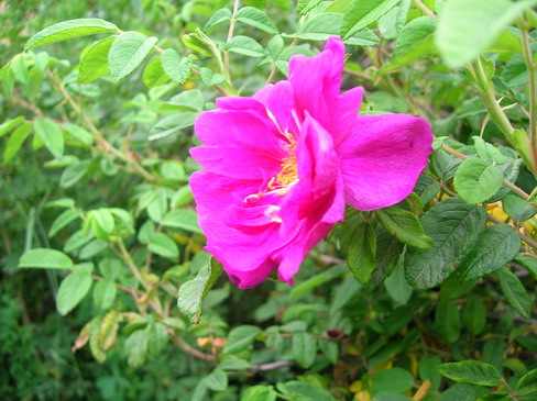 DSCN2777.JPG