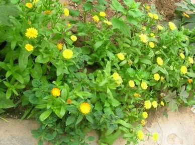 DSCN2735.JPG